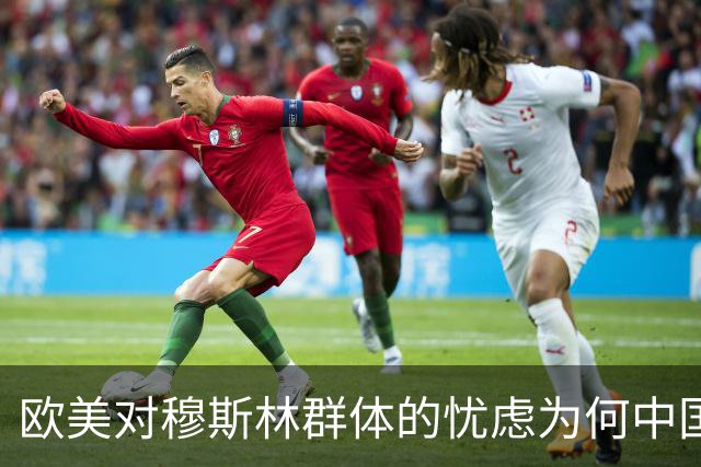 欧美对穆斯林群体的忧虑为何中国处理得当？